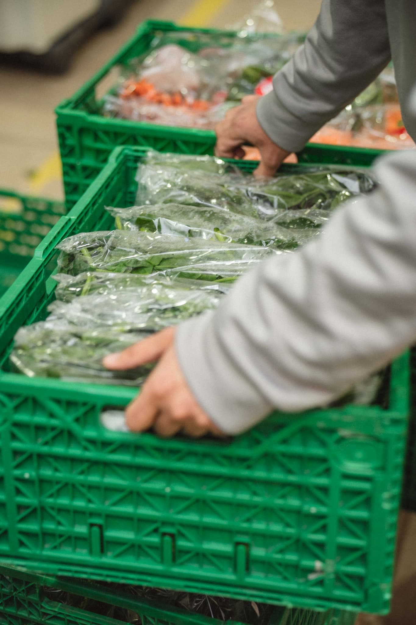 Envasado de vegetales